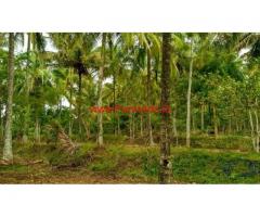 11.5 Acres Well Developed Farm Land for sale at basavapatna