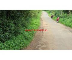 1 acre agriculture land for sale near Thalapuzha, 2 km to Kannur Airport rd