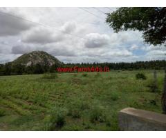 7 acres farm land for sale at begur, Gunglupete. Ooty Road
