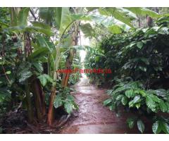 5 acre coffee estate for sale in Chikkamgaluru , 38 km from city