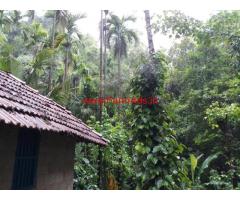 5 acre coffee estate for sale in Chikkamgaluru , 38 km from city