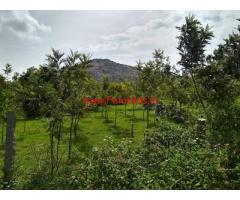 1.9 Acres Coconut farm land for sale in Doddaballapura
