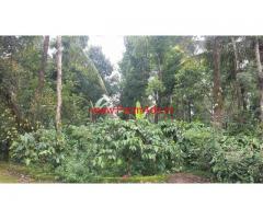 5 Acre robusta Coffee Estate for Sale, 25 KMS from Madikeri