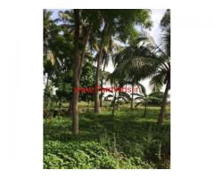 22.83 Acres coconut farm land for sale at Vallioor