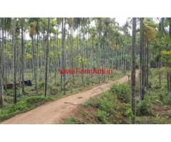 5 acre Coffee farm land for sale in Mananthavady, Wayanad