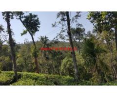 20 acre tea estate for sale in periya, Wayanad