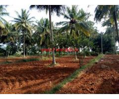 4 acres farm land for sale , 14 km from Mysore.