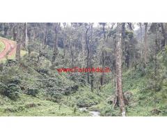 155 Acres Coffee Estate for sale at Coorg