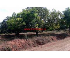 14 Gunta of Agriculture Land - Mango Farm for sale at Ramanagara