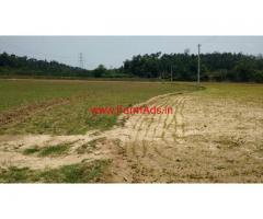 5 acre plain agriculture farm land for sale, 30 KMS from Hassan