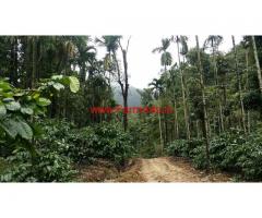 280 acres on record Company owned Coffee Estate for sale Chikmagalur