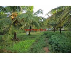 Agricultural Land (3.37 Acres) for sale near Thondamuthur, Coimbatore