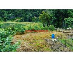 94 acre coffee estate for sale in chikkamagaluru. 11 km state highway.