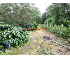 80 Acres Coffee estate for sale in Coorg