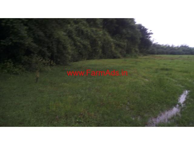 2 Acre 30 Guntha farm Land For Sale In Chikmagalur-DT Mudigere Taluk