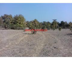 Low cost 9 acres agriculture land for sale at Katol
