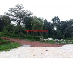 16 acres Coffee estate with homestay for sale at Mudigere