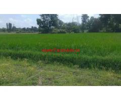 5 Acres Agriculture land for sale at Chitoor, 85 KMS from Tirupathi.