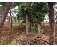 46 Acres Farm Land with Coconut Farm for sale in Chikmagalur
