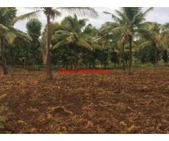 46 Acres Farm Land with Coconut Farm for sale in Chikmagalur