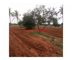 5.5 Acre Farm Land for sale at PTM Mandal - Chitoor