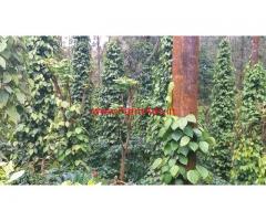 3.5 acre coffee estate and 8000 sq ft coffee plantation for sale