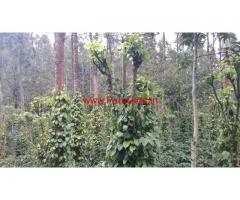 3.5 acre coffee estate and 8000 sq ft coffee plantation for sale