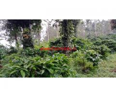 4 acre coffee estate for sale in sakleshpura, 25 KMs from City