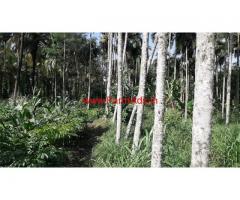 Agricultural land for sale at Pulpally, wayanad
