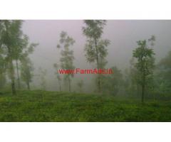 1 Acre Tea Estate with 4BHK Bunglow for sale at Talappuzza