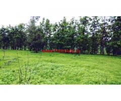 1 Acre Agriculture land for sale at Chochiwadi