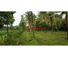 4 acre open plain farm land for sale In between hassan and sakleshpura.