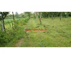 4 acre open plain farm land for sale In between hassan and sakleshpura.