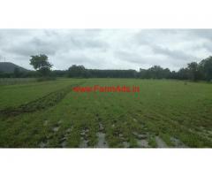 74 Acres Farm Land for sale at Andale Village, 28 KMS from Hassan
