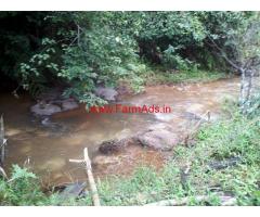 7 Acre Well Mainatained Robasta Coffee Estate For Sale In Mudigere Taluk