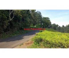 27 Acre tea estate for sale at Coonoor, 20 KMS from Ooty