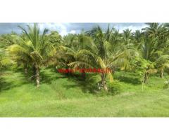 3 Acre agriculture land for sale in Chittur