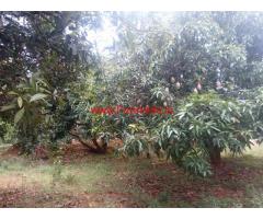 16 acres Mango farm land available for sale at chintamani.