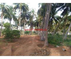 3.5 Acres Coconut farm for sale at Madathukulam