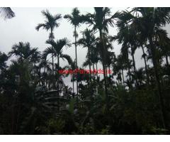 7 Acre Coffee Estate for sale, 40 KMS from  Mudigere