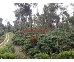7 Acre Coffee Estate for sale, 40 KMS from  Mudigere