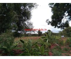 7 acres agricultural land for sale at Gowribidanur signahalli village