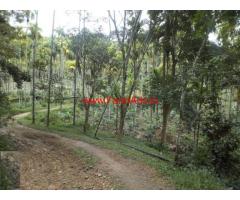 5 acres agriland for sale at Mananthavady