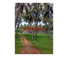 13 acre good yield Coconut Farm for Sale near Pollachi