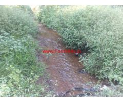 123 Acres Neglected Coffee Estate For Sale at Mudigere In Chikmagalur