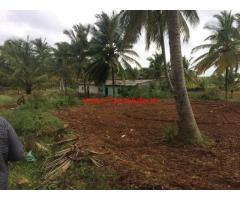 12.5 Acres Coconut Farm for sale at Hassan - Belur road.