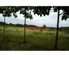 1.24 Acre Farm Land for sale at HD Kote Road. 20 KMS from Ring Road.