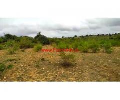 8 acre plain farm land for sale  at panchanhalli, kadur taluk