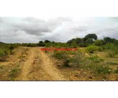 8 acre plain farm land for sale  at panchanhalli, kadur taluk