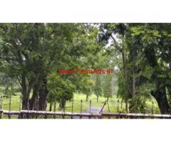 19 acre land for sale at Bhilawale